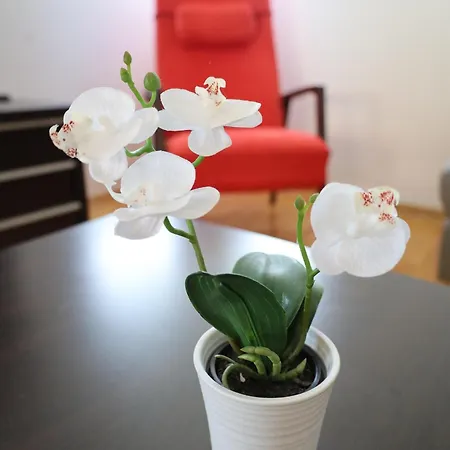 Franco Apartman *